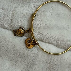 Sea-turtle Alex and ani Bracelet